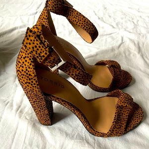 Leopard Ankle Strap Taper Heel Shoes